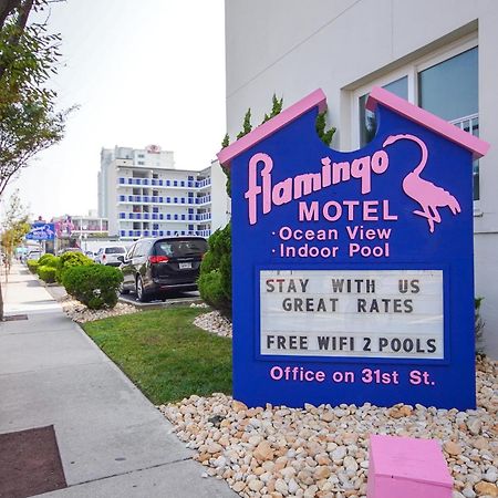 Flamingo Motel Оушен-Сіті Екстер'єр фото
