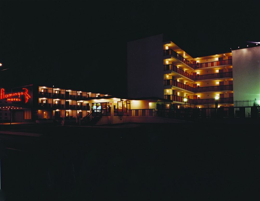 Flamingo Motel Оушен-Сіті Екстер'єр фото