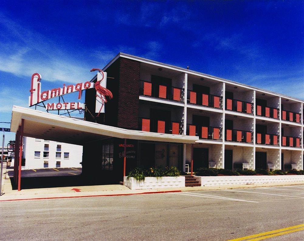 Flamingo Motel Оушен-Сіті Екстер'єр фото